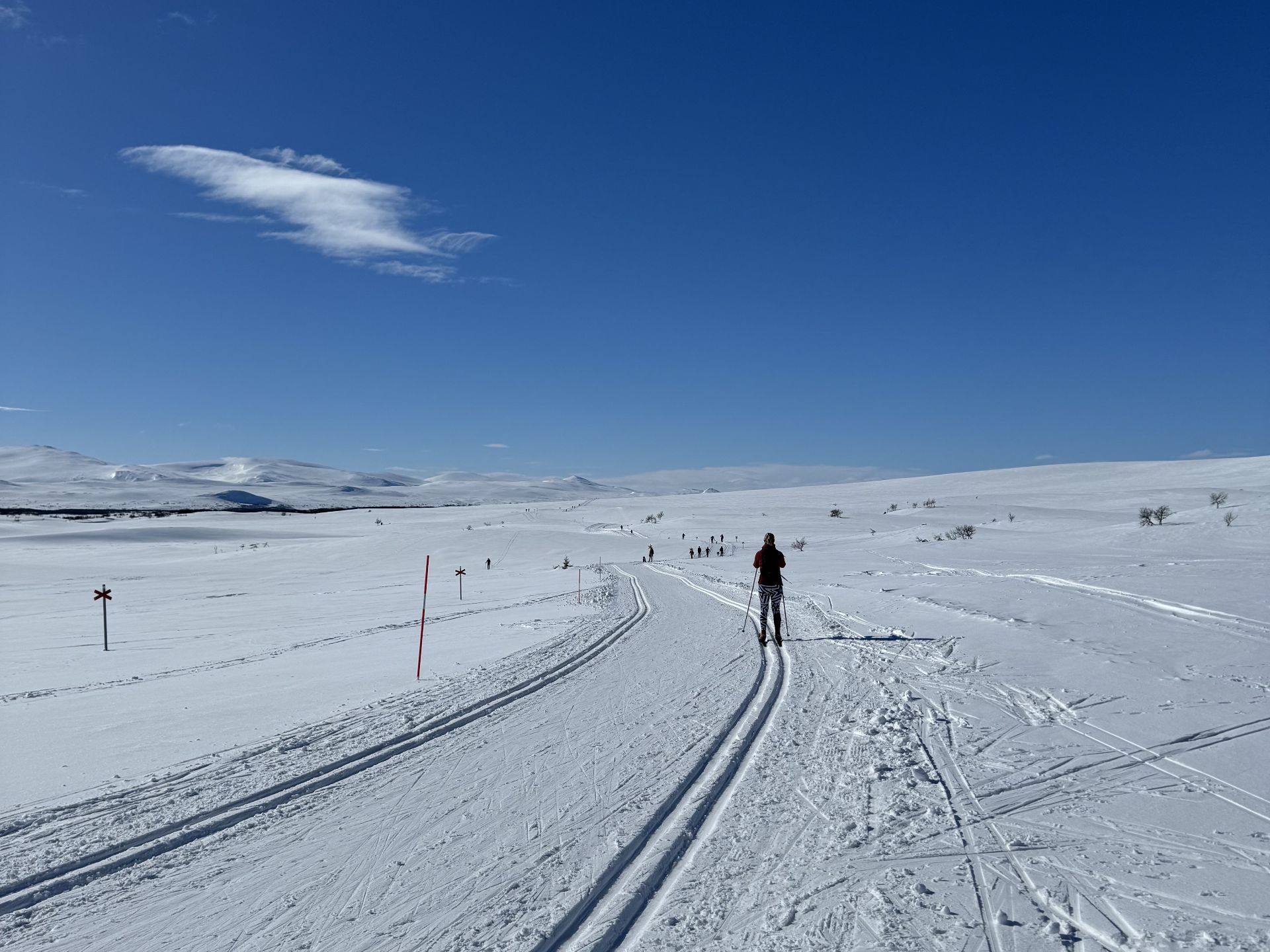 A skier in a red jacket follows groomed tracks across open snow-covered hills, with red trail markers and other skiers ahead.