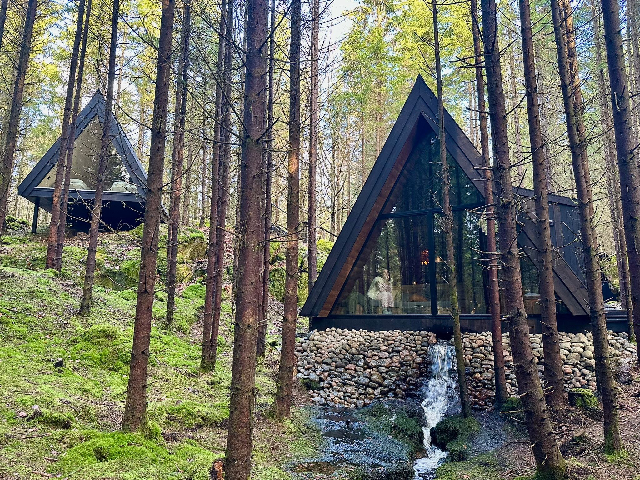 Two dark timber cabins among trees and moss, with a stream flowing beneath Creek Cabin.