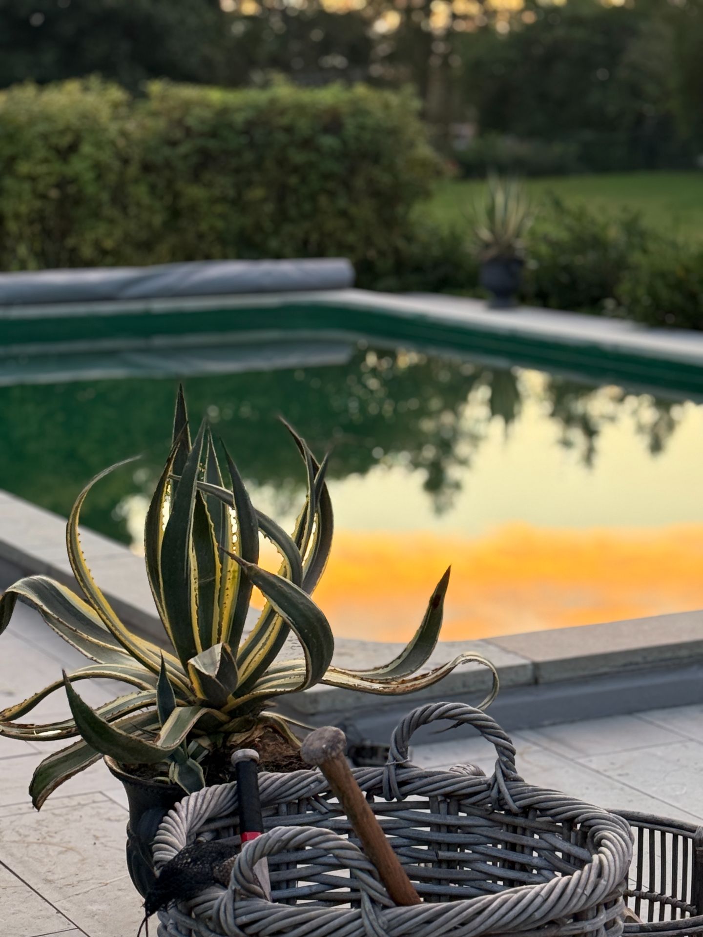 A small outdoor pool reflecting the evening sky beside the house.