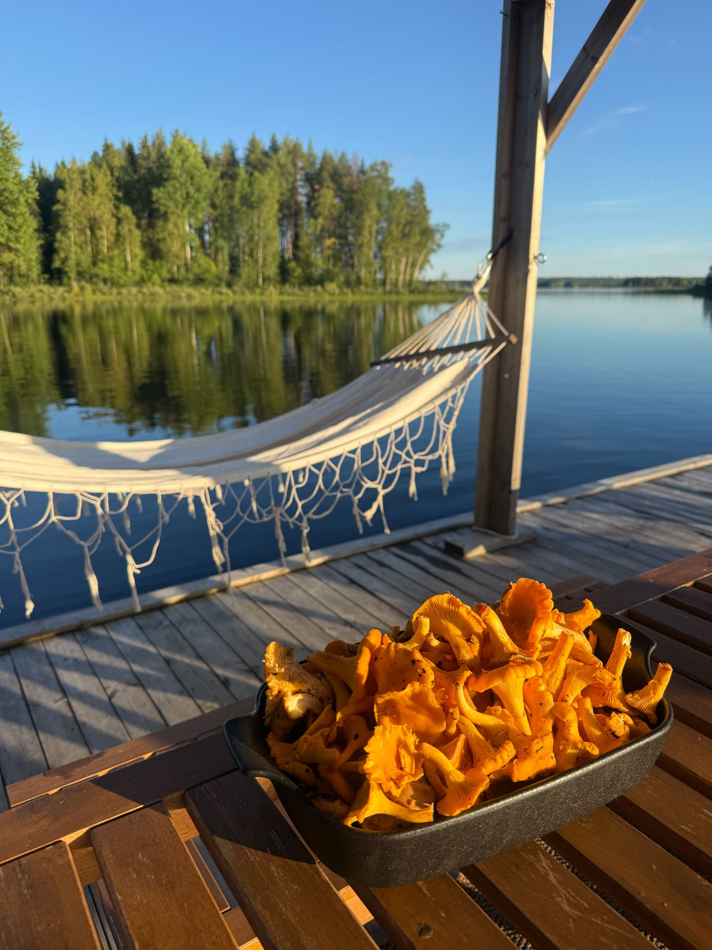 Fresh chanterelles in a tray on a wooden table, with a hammock and calm lake behind.